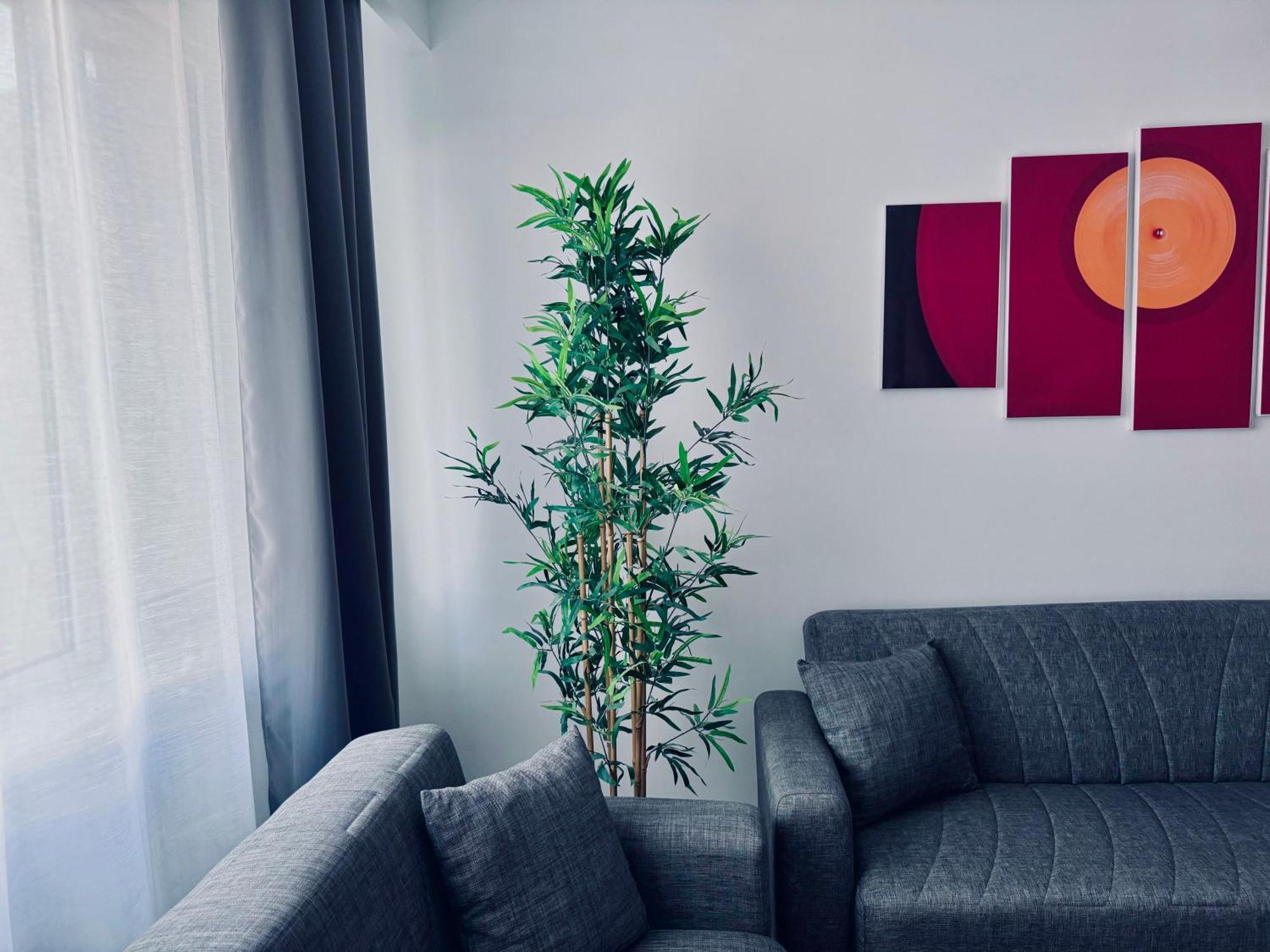 Unde Apartamento Bucarest